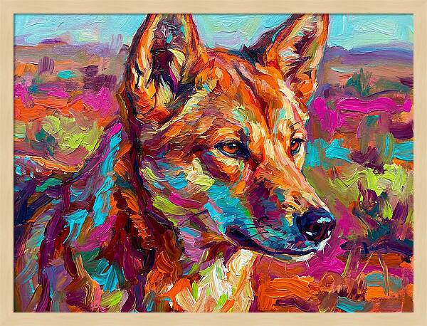 Dingo In Vibrant Colors