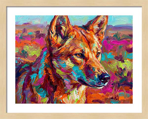 Dingo In Vibrant Colors