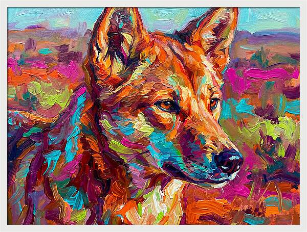 Dingo In Vibrant Colors