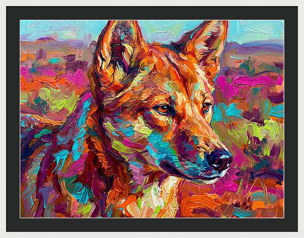 Dingo In Vibrant Colors