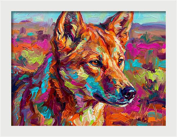 Dingo In Vibrant Colors