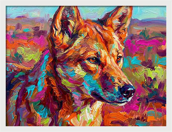 Dingo In Vibrant Colors