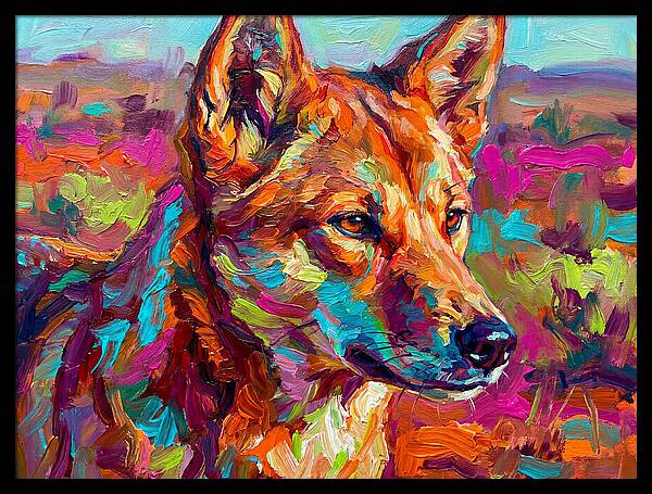 Dingo In Vibrant Colors