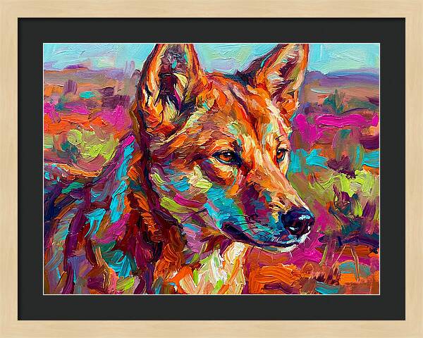 Dingo In Vibrant Colors