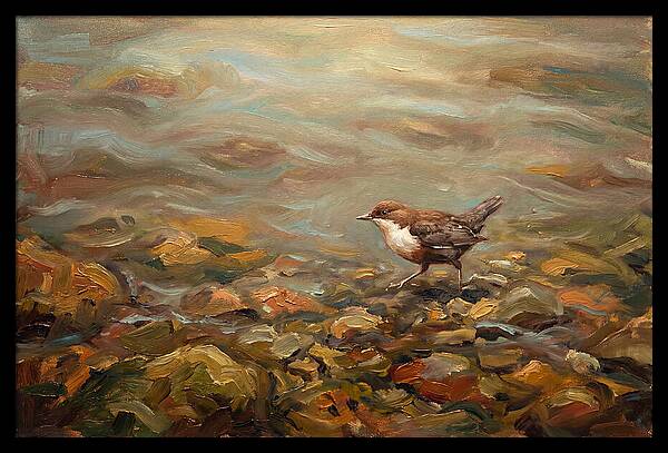 Dipper Bird Walking Underwater