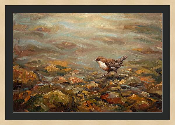 Dipper Bird Walking Underwater