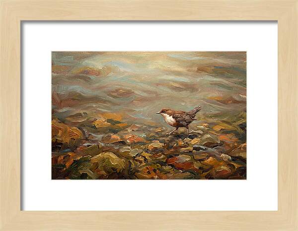 Dipper Bird Walking Underwater