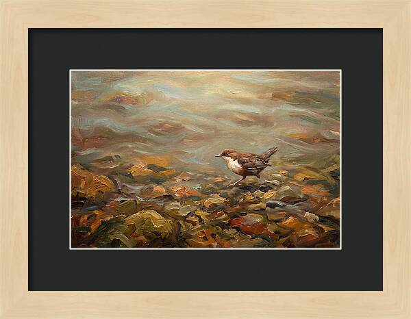 Dipper Bird Walking Underwater