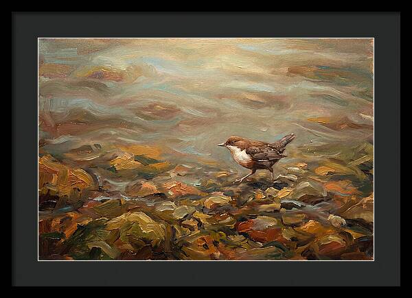 Dipper Bird Walking Underwater