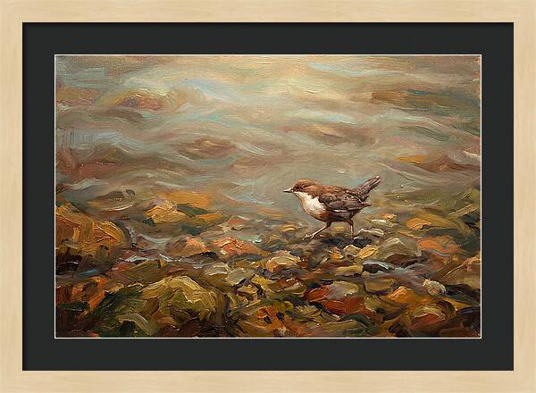 Dipper Bird Walking Underwater