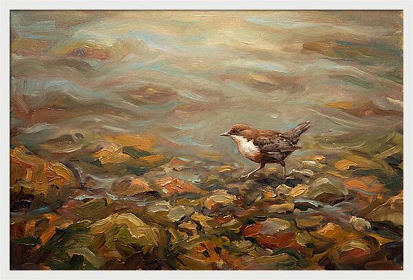 Dipper Bird Walking Underwater