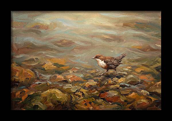 Dipper Bird Walking Underwater