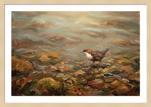 Dipper Bird Walking Underwater