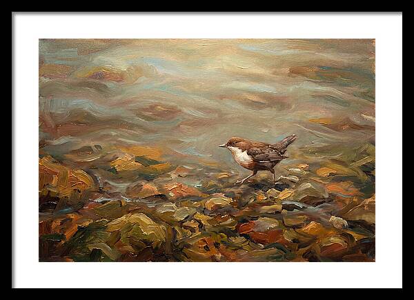 Dipper Bird Walking Underwater