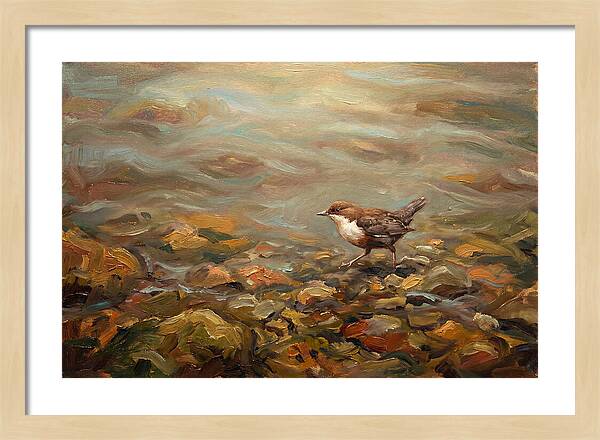 Dipper Bird Walking Underwater