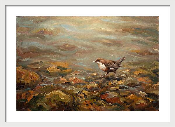 Dipper Bird Walking Underwater