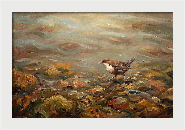 Dipper Bird Walking Underwater