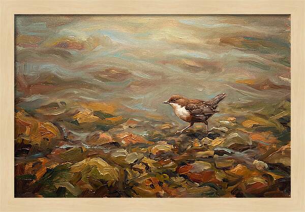 Dipper Bird Walking Underwater