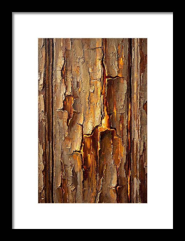 Distressed Wood Texture