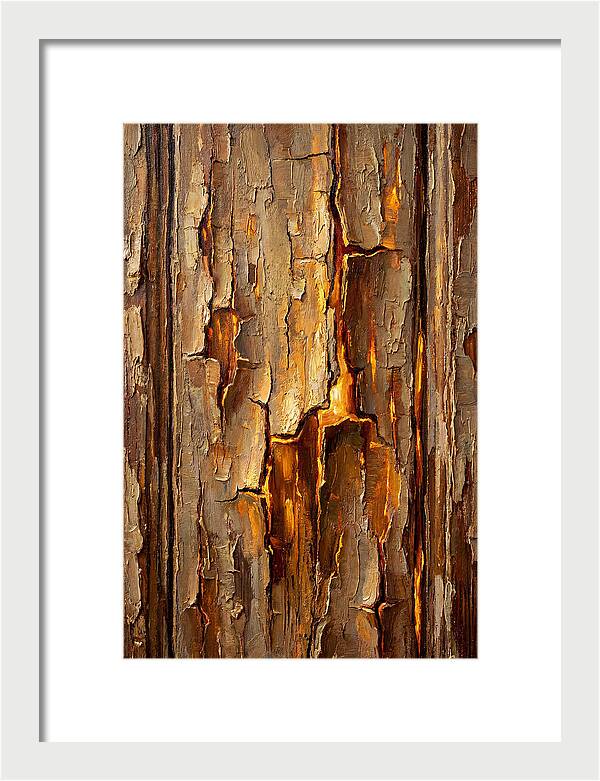 Distressed Wood Texture