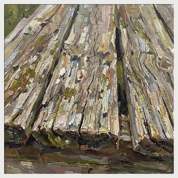 Distressed Wood Texture