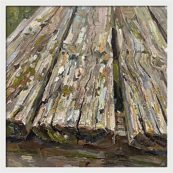 Distressed Wood Texture