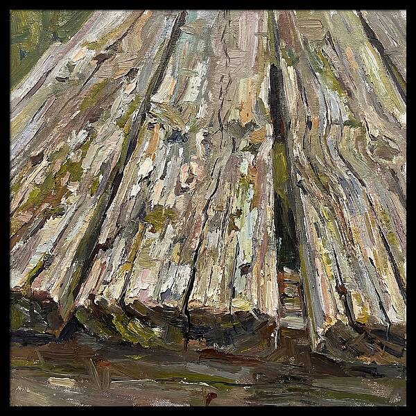 Distressed Wood Texture