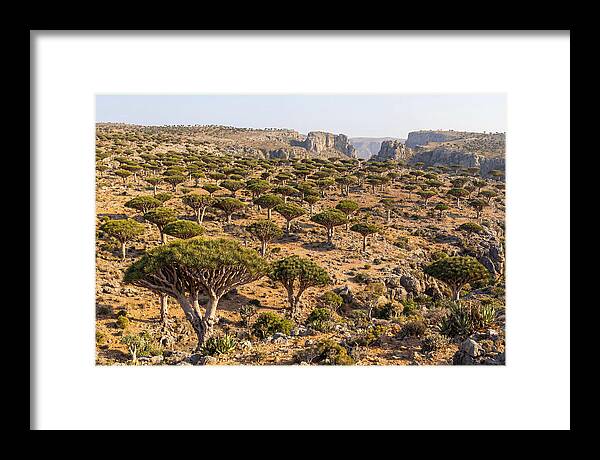 Dixam Plateau Serenity