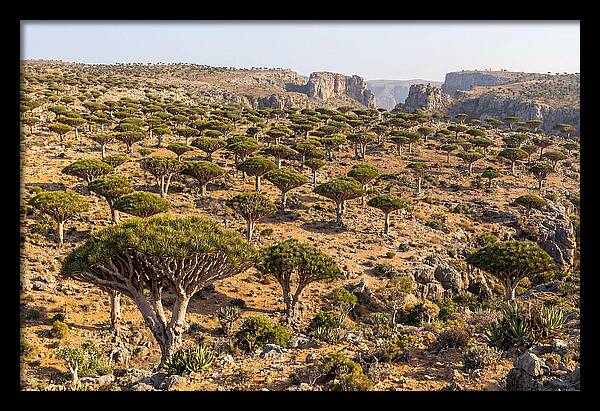 Dixam Plateau Serenity