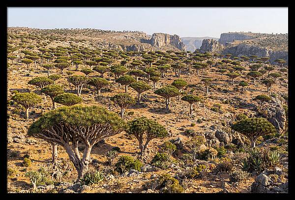 Dixam Plateau Serenity