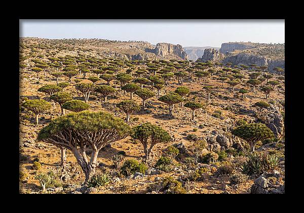 Dixam Plateau Serenity