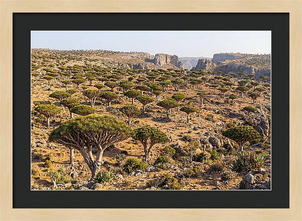 Dixam Plateau Serenity