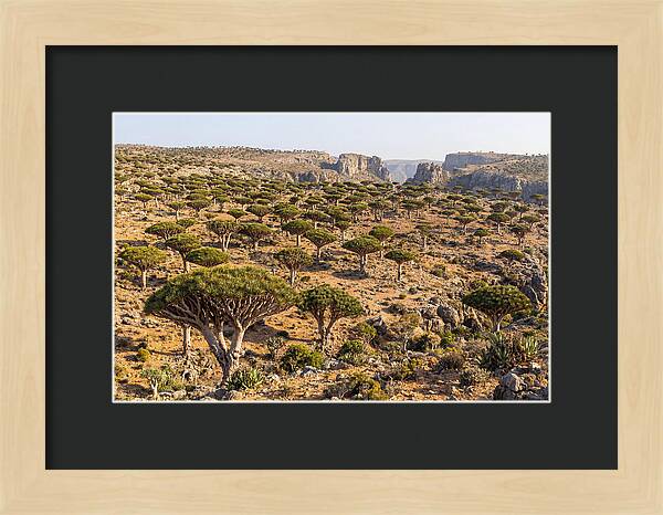 Dixam Plateau Serenity