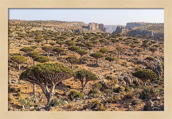 Dixam Plateau Serenity