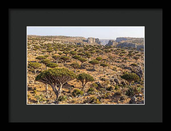Dixam Plateau Serenity