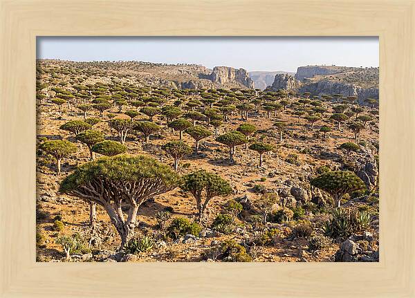 Dixam Plateau Serenity