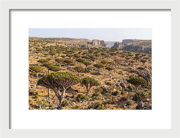 Dixam Plateau Serenity