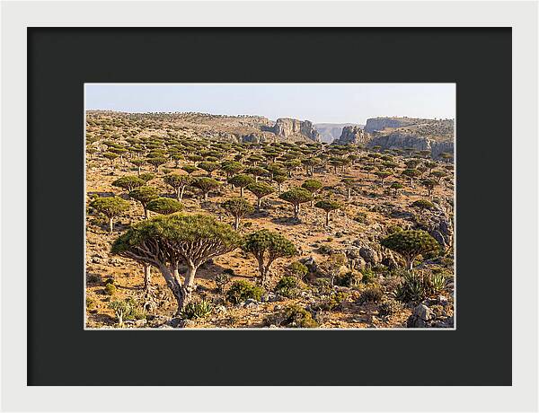Dixam Plateau Serenity