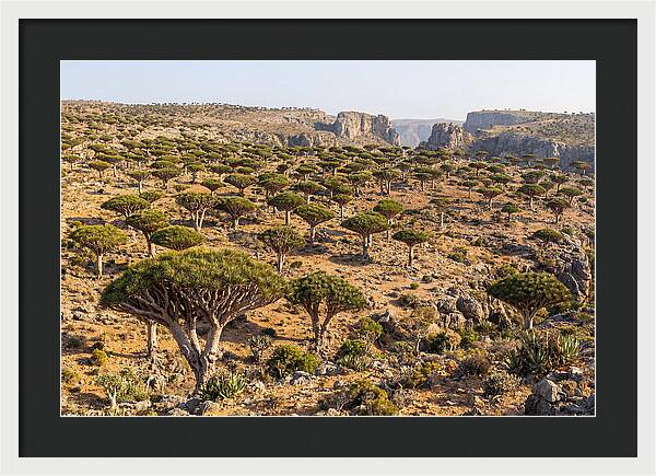 Dixam Plateau Serenity