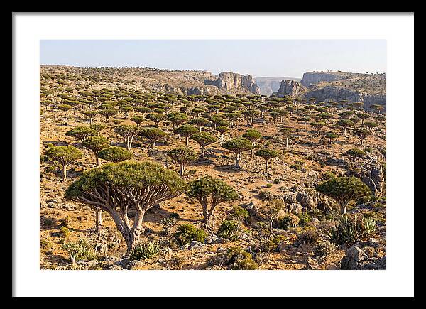 Dixam Plateau Serenity