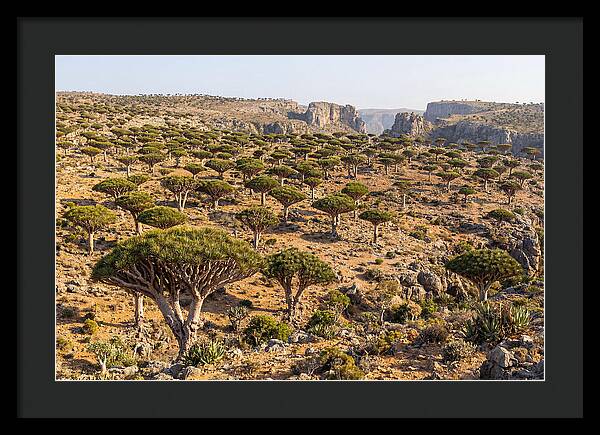 Dixam Plateau Serenity