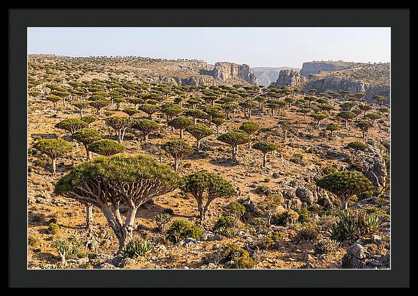 Dixam Plateau Serenity