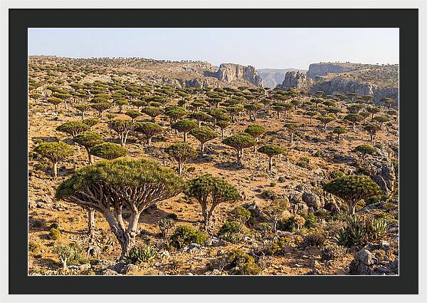 Dixam Plateau Serenity