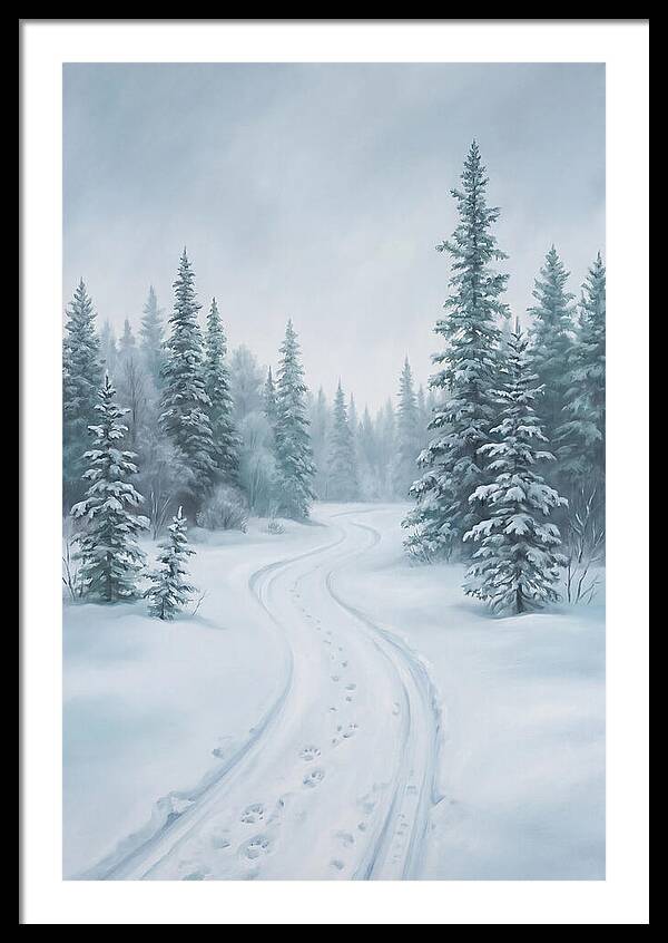 Dog Sled Trail Through Snowy Forest