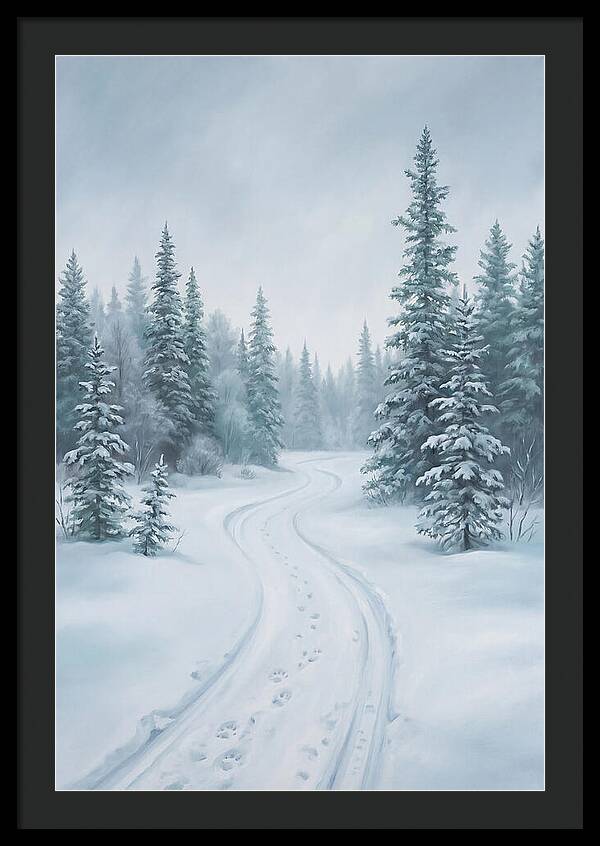 Dog Sled Trail Through Snowy Forest