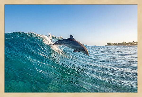 Dolphin Surfing The Wave