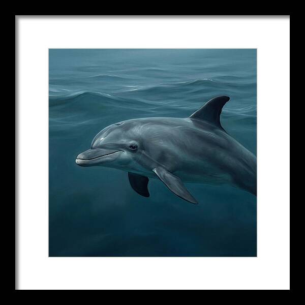 Dolphin Swimming Gracefully