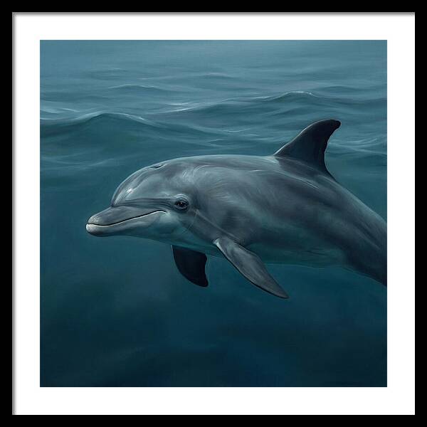 Dolphin Swimming Gracefully