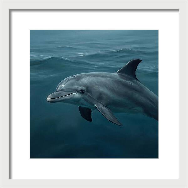 Dolphin Swimming Gracefully