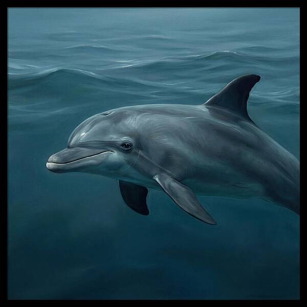 Dolphin Swimming Gracefully